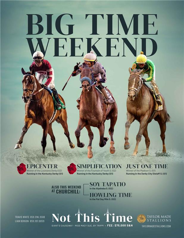 206980-NotThisTime-TDN_FINAL