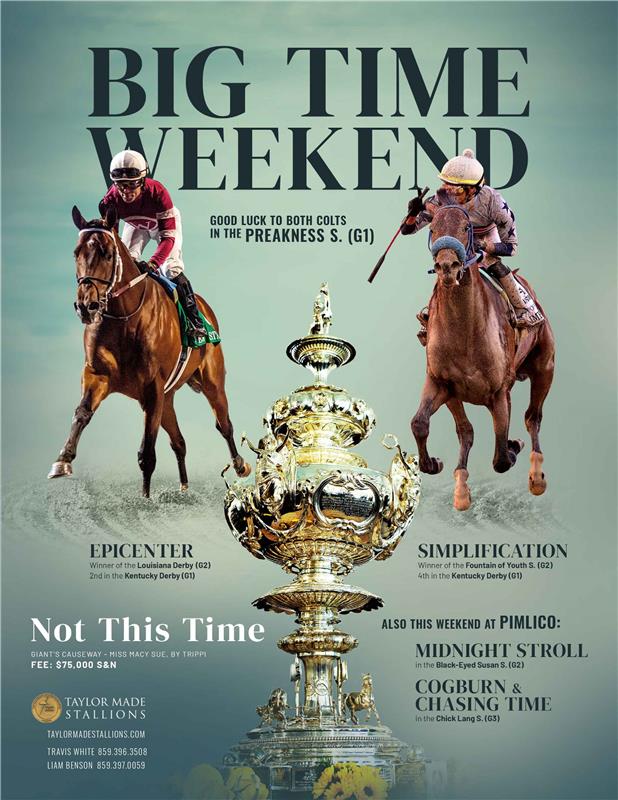 207138-NotThisTime-Preakness-TDN-(2)