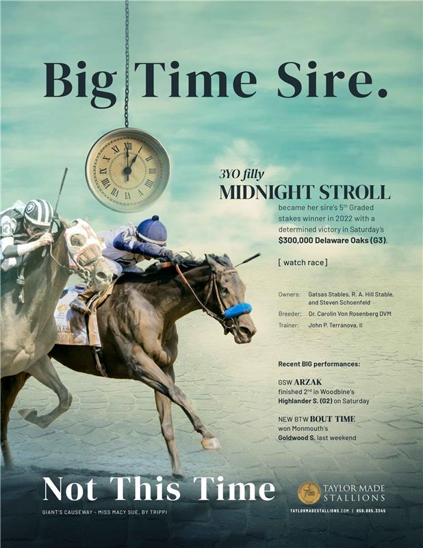 207167-NotThisTime-TDN-FINAL