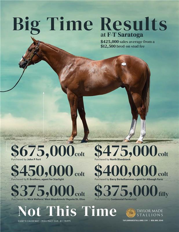 207933-NotThisTime-TDN-FINAL