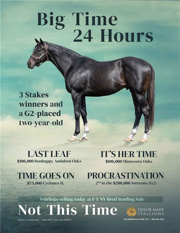 207989-NotThisTime-TDN