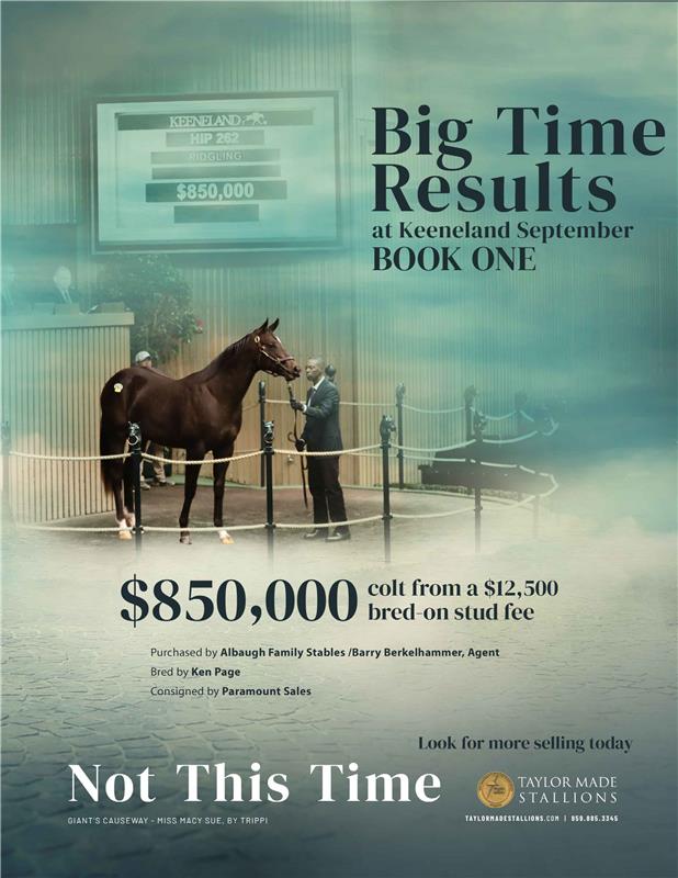 208345-NotThisTime-TDN