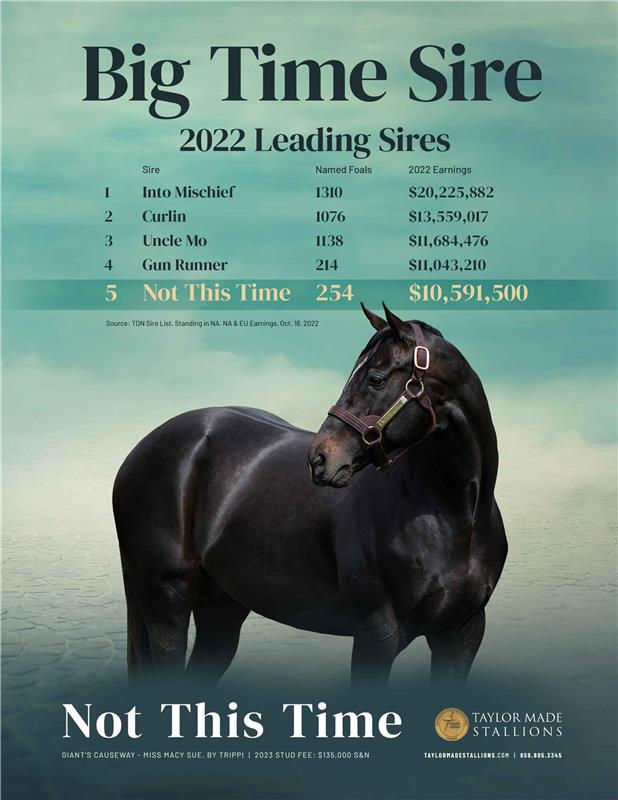 208798-NotThisTime-TDN-(1)