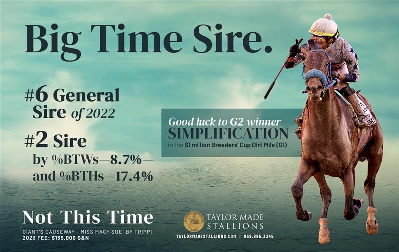 209038-NotThisTime-Simplification-half-TDN (2)