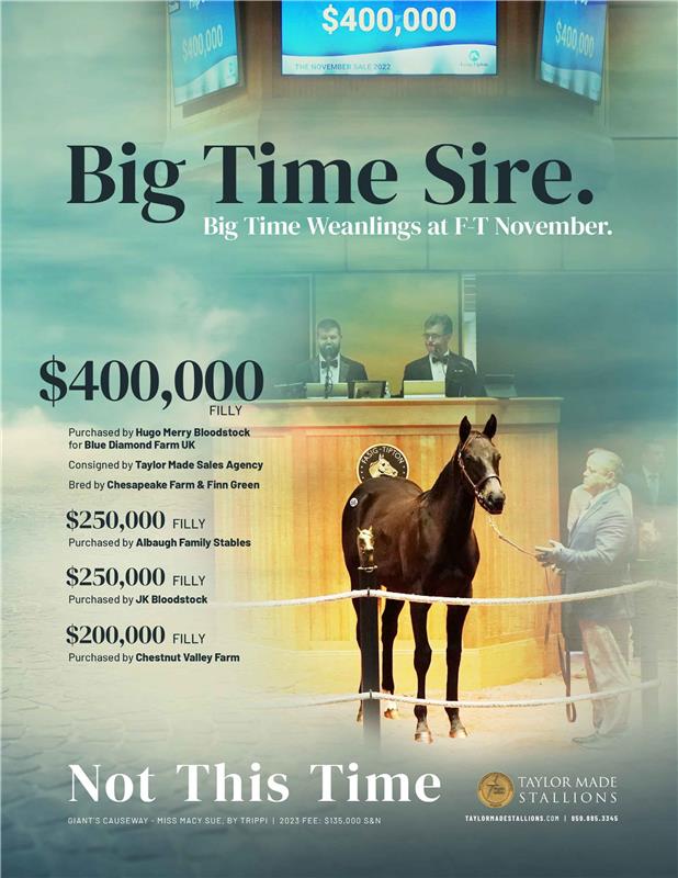 209139-NotThisTime-TDN