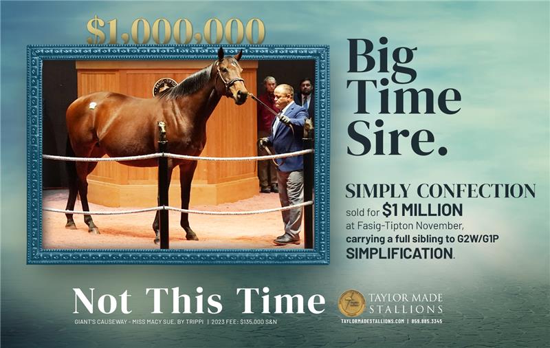 209144-NotThisTime-half-TDN