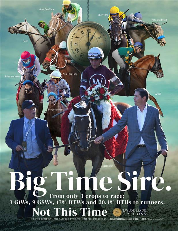 209411-NotThisTime-TDN-FINAL