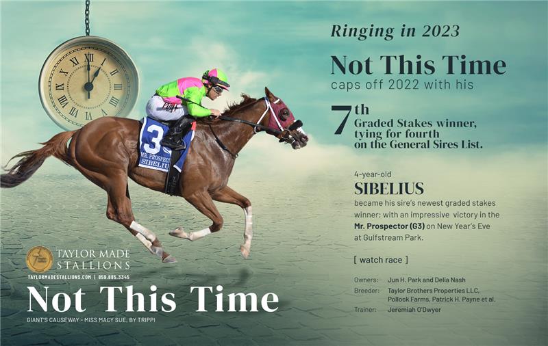 209830-NotThisTime-half-TDN