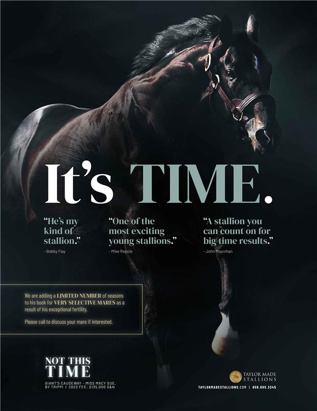210784-NotThisTime-TDN