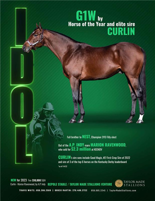 209897-Idol-TDN
