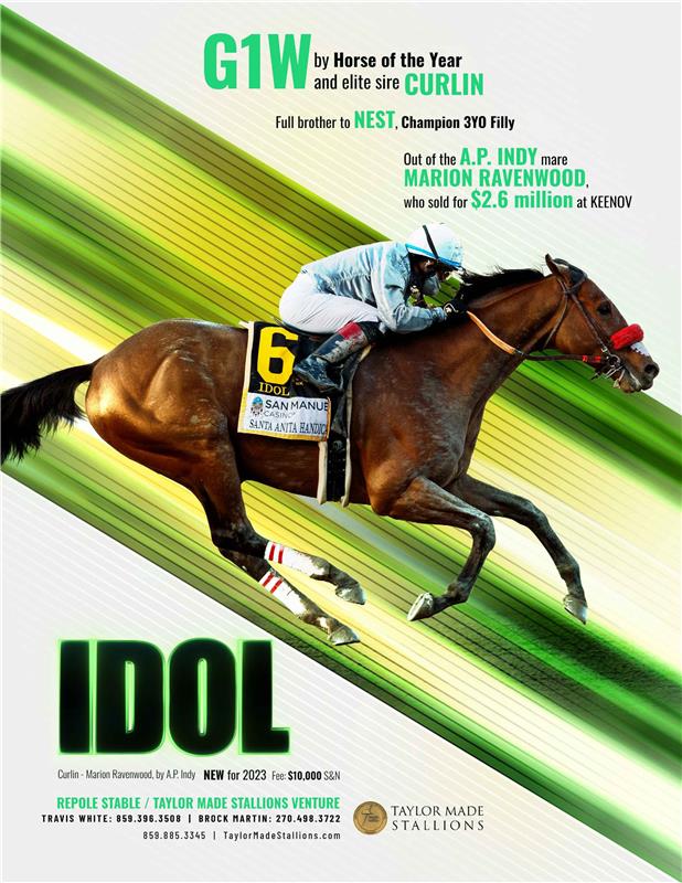 210377-Idol-TDN