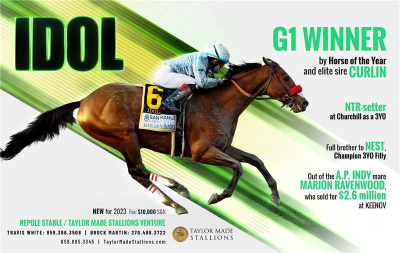 210573-Idol-Half-TDN
