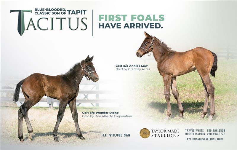 210752-Tacitus-Half-TDN
