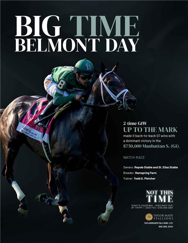 211423-NotThisTime-TDN-FINAL