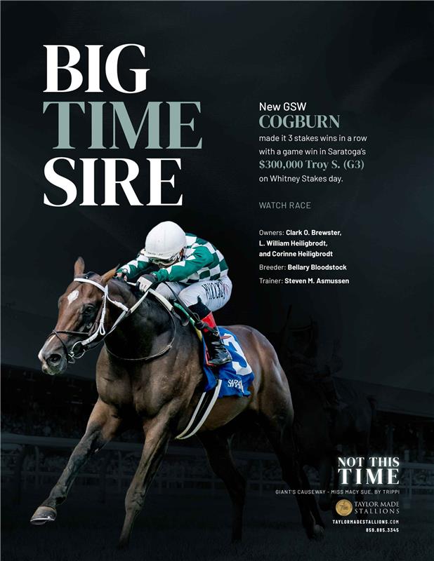 211827-NotThisTime-TDN-V2-FINAL