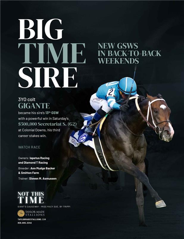 211830-NotThisTime-TDN-FINAL