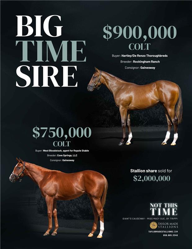 211860-NotThisTime-TDN