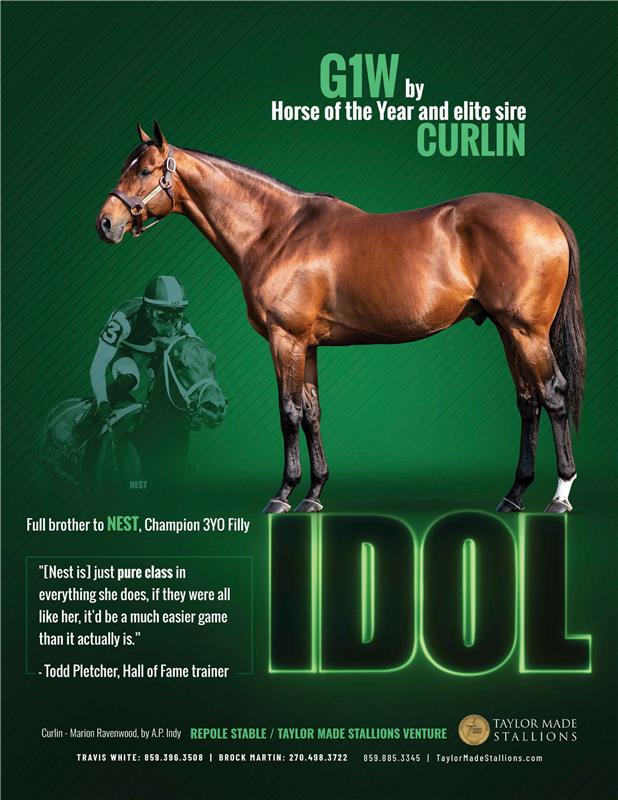 211988-Idol-TDN